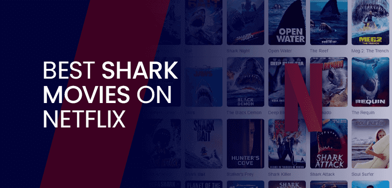 Shark Movies On Netflix