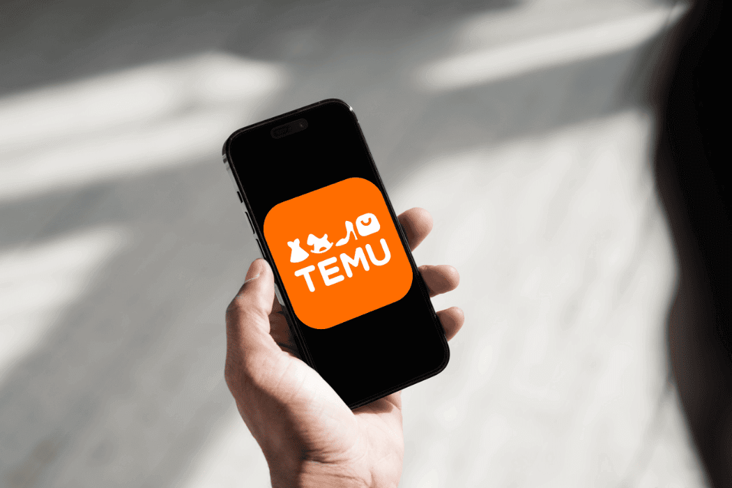 Is Temu Safe: A Detailed Review of This Budget-Friendly App
