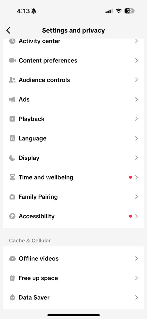 Free Up Space Option in TikTok Settings